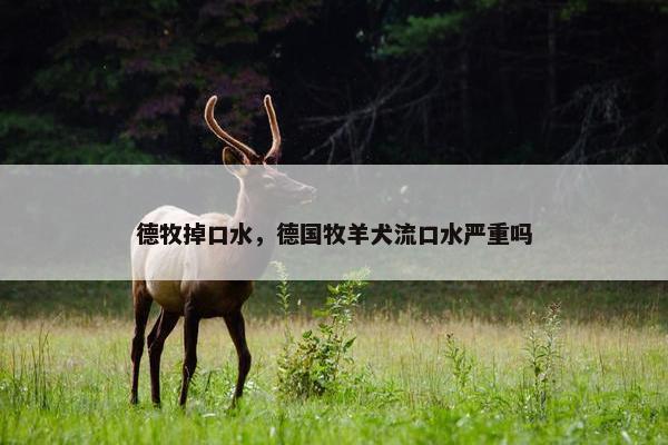 德牧掉口水，德国牧羊犬流口水严重吗