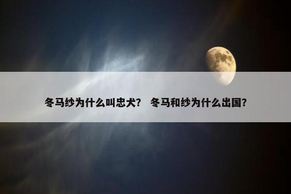 冬马纱为什么叫忠犬？ 冬马和纱为什么出国？