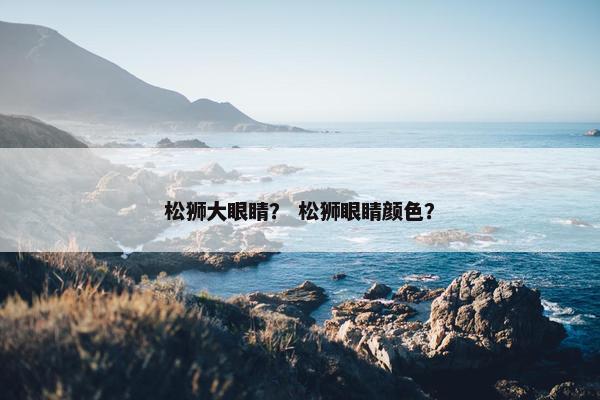 松狮大眼睛？ 松狮眼睛颜色？
