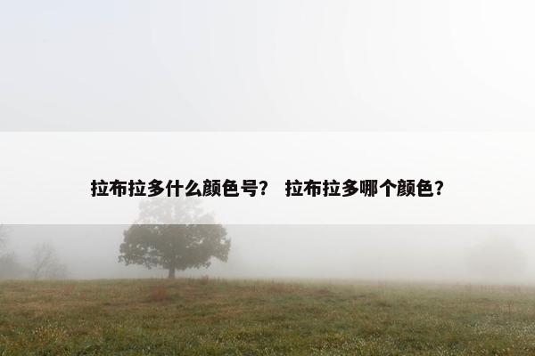 拉布拉多什么颜色号？ 拉布拉多哪个颜色？