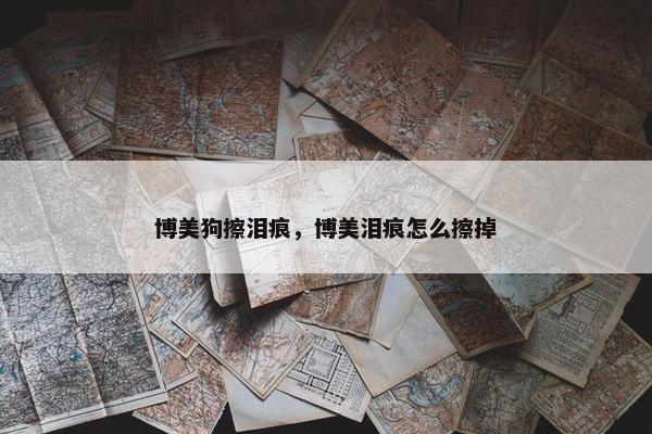 博美狗擦泪痕，博美泪痕怎么擦掉