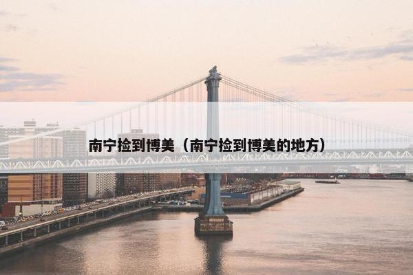 南宁捡到博美（南宁捡到博美的地方）