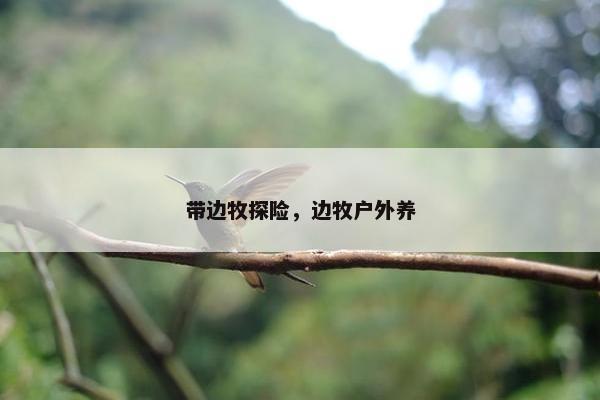 带边牧探险，边牧户外养