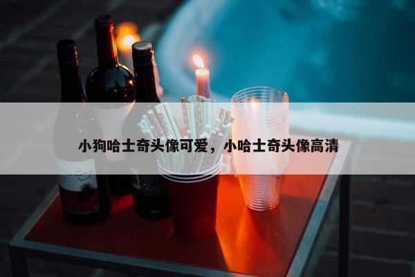 小狗哈士奇头像可爱，小哈士奇头像高清
