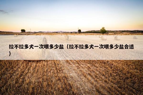 拉不拉多犬一次喂多少盐（拉不拉多犬一次喂多少盐合适）