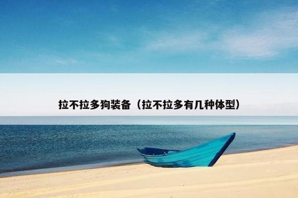 拉不拉多狗装备（拉不拉多有几种体型）