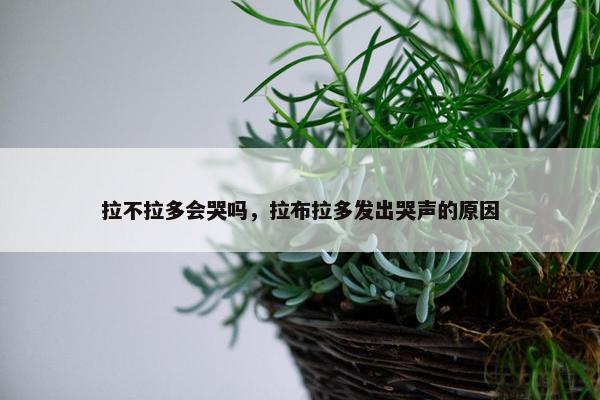 拉不拉多会哭吗，拉布拉多发出哭声的原因