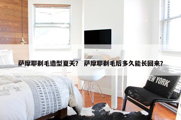 萨摩耶剃毛造型夏天？ 萨摩耶剃毛后多久能长回来？