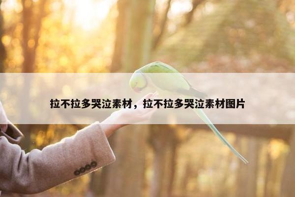 拉不拉多哭泣素材，拉不拉多哭泣素材图片