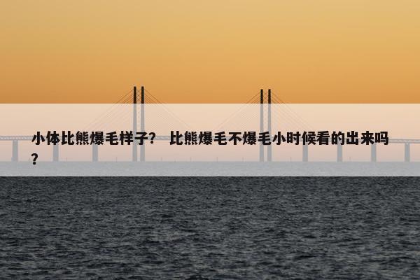 小体比熊爆毛样子？ 比熊爆毛不爆毛小时候看的出来吗？