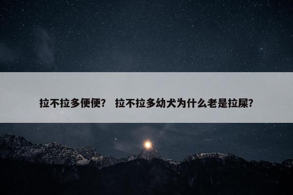 拉不拉多便便？ 拉不拉多幼犬为什么老是拉屎？