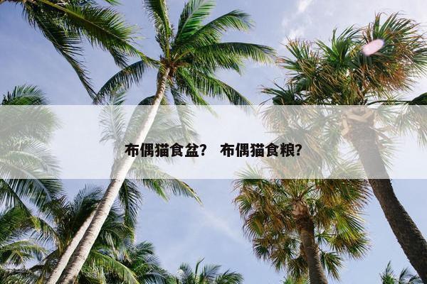 布偶猫食盆？ 布偶猫食粮？