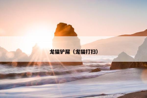 龙猫铲屎（龙猫打扫）