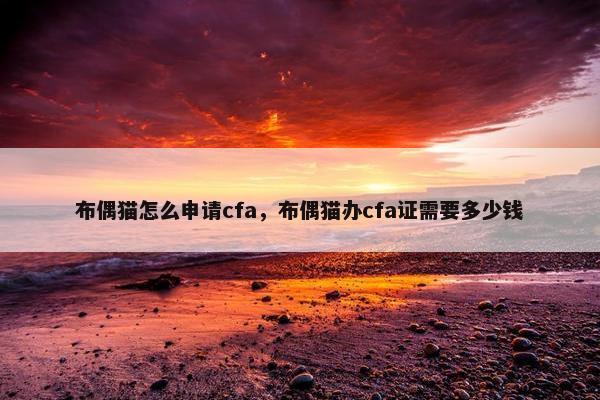 布偶猫怎么申请cfa，布偶猫办cfa证需要多少钱