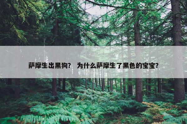 萨摩生出黑狗？ 为什么萨摩生了黑色的宝宝？
