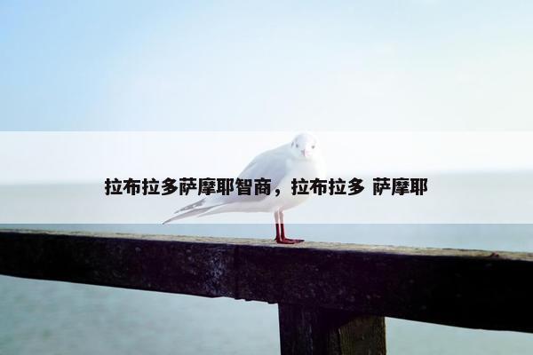 拉布拉多萨摩耶智商，拉布拉多 萨摩耶