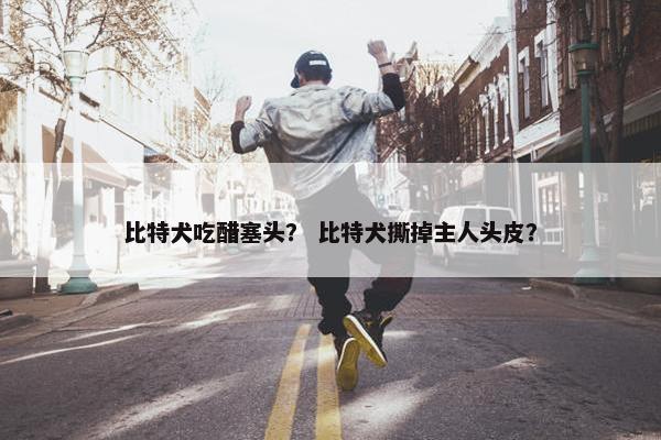 比特犬吃醋塞头？ 比特犬撕掉主人头皮？