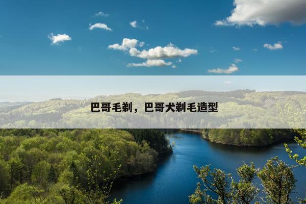 巴哥毛剃，巴哥犬剃毛造型