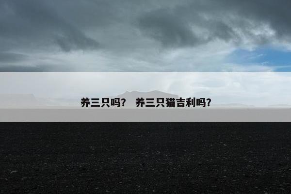 养三只吗？ 养三只猫吉利吗？