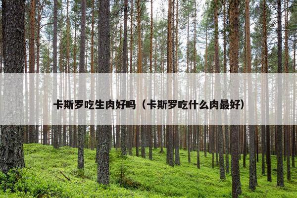 卡斯罗吃生肉好吗（卡斯罗吃什么肉最好）