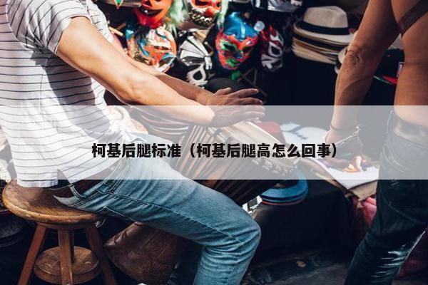 柯基后腿标准（柯基后腿高怎么回事）
