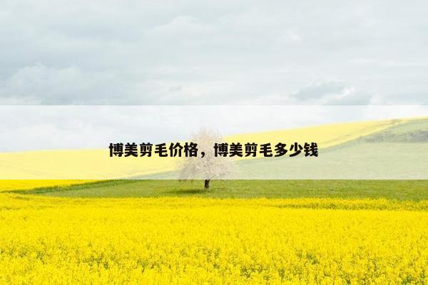 博美剪毛价格，博美剪毛多少钱