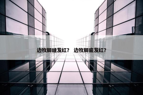 边牧脚缝发红？ 边牧脚底发红？