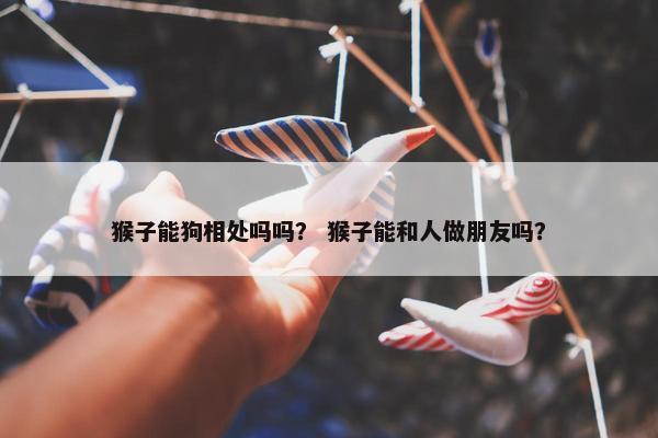 猴子能狗相处吗吗？ 猴子能和人做朋友吗？