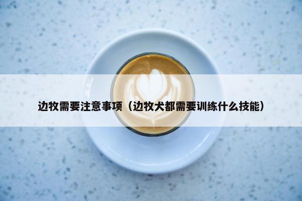 边牧需要注意事项（边牧犬都需要训练什么技能）