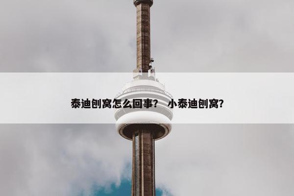 泰迪刨窝怎么回事？ 小泰迪刨窝？