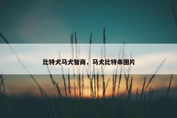 比特犬马犬智商，马犬比特串图片