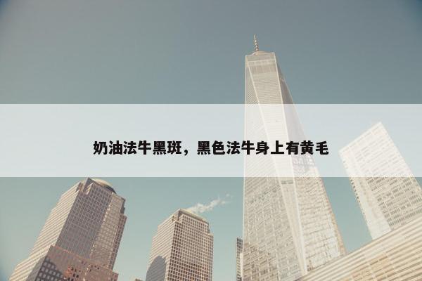 奶油法牛黑斑，黑色法牛身上有黄毛