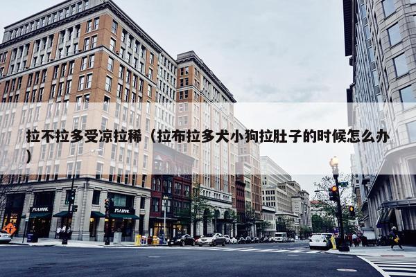 拉不拉多受凉拉稀（拉布拉多犬小狗拉肚子的时候怎么办）