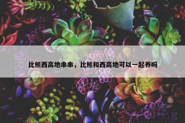 比熊西高地串串，比熊和西高地可以一起养吗
