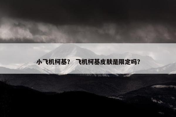 小飞机柯基？ 飞机柯基皮肤是限定吗？