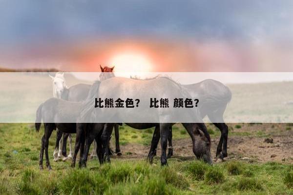 比熊金色？ 比熊 颜色？