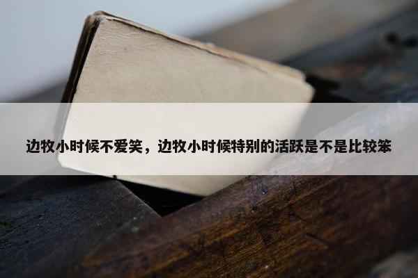 边牧小时候不爱笑，边牧小时候特别的活跃是不是比较笨