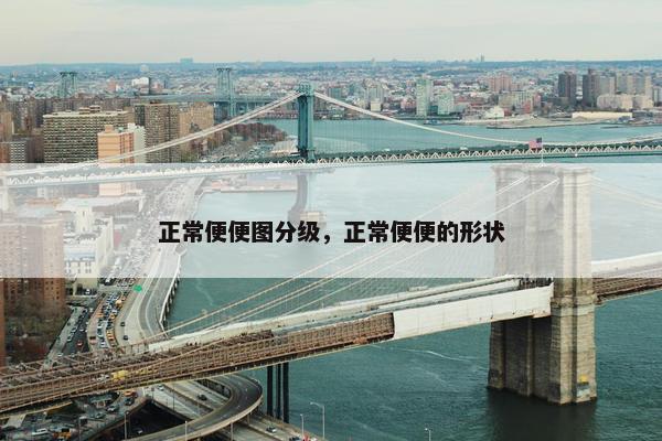 正常便便图分级，正常便便的形状