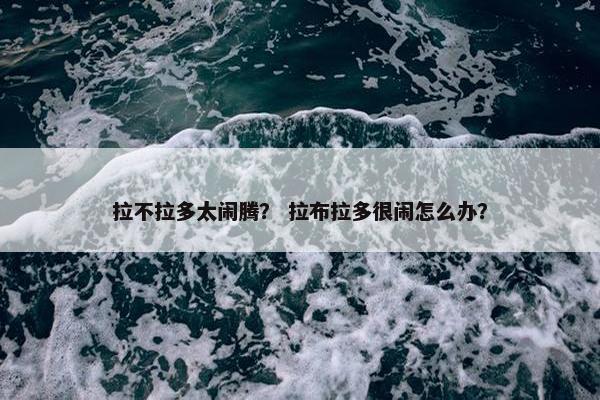 拉不拉多太闹腾？ 拉布拉多很闹怎么办？