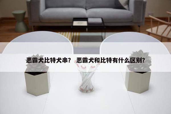 恶霸犬比特犬串？ 恶霸犬和比特有什么区别？