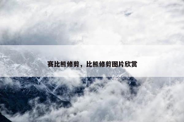赛比熊修剪，比熊修剪图片欣赏