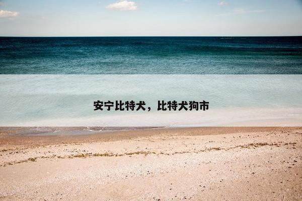 安宁比特犬，比特犬狗市