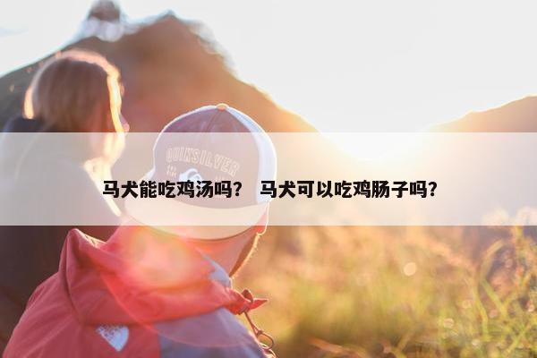 马犬能吃鸡汤吗？ 马犬可以吃鸡肠子吗？