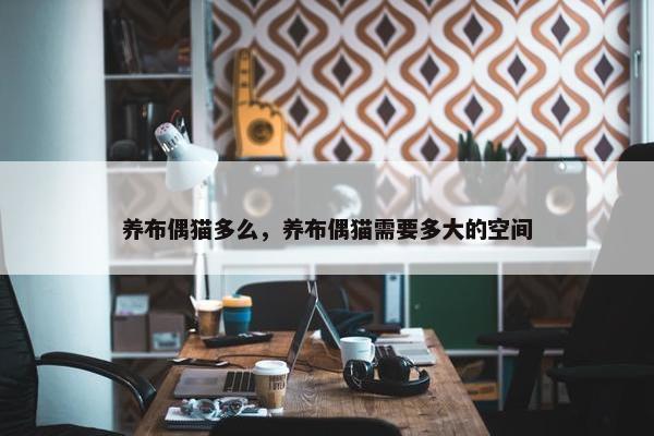 养布偶猫多么，养布偶猫需要多大的空间