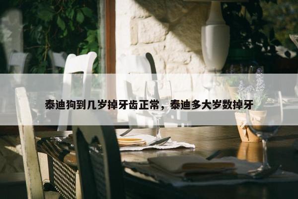 泰迪狗到几岁掉牙齿正常，泰迪多大岁数掉牙
