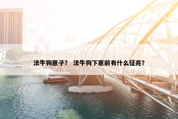 法牛狗崽子？ 法牛狗下崽前有什么征兆？