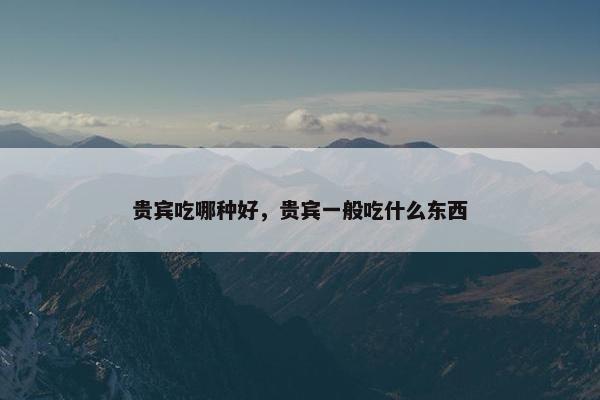 贵宾吃哪种好，贵宾一般吃什么东西