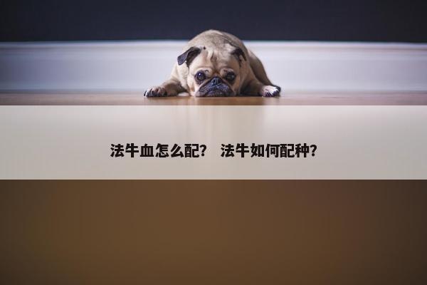 法牛血怎么配？ 法牛如何配种？