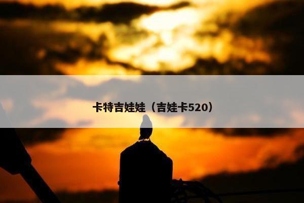 卡特吉娃娃（吉娃卡520）