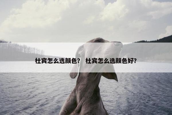 杜宾怎么选颜色？ 杜宾怎么选颜色好？